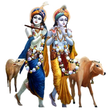 Cow protection